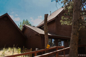 Freshly painted wood siding on a Lone tree Colorado home surrounded by pine trees