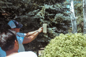 stellar painting and remodeling