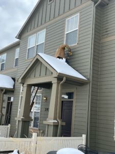 stellar painting and remodeling